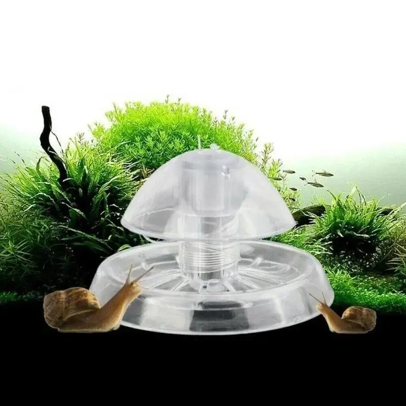 Aquarium Planted Plants - 2026 Perangkap Siput Plastik Transparan 6/8CM