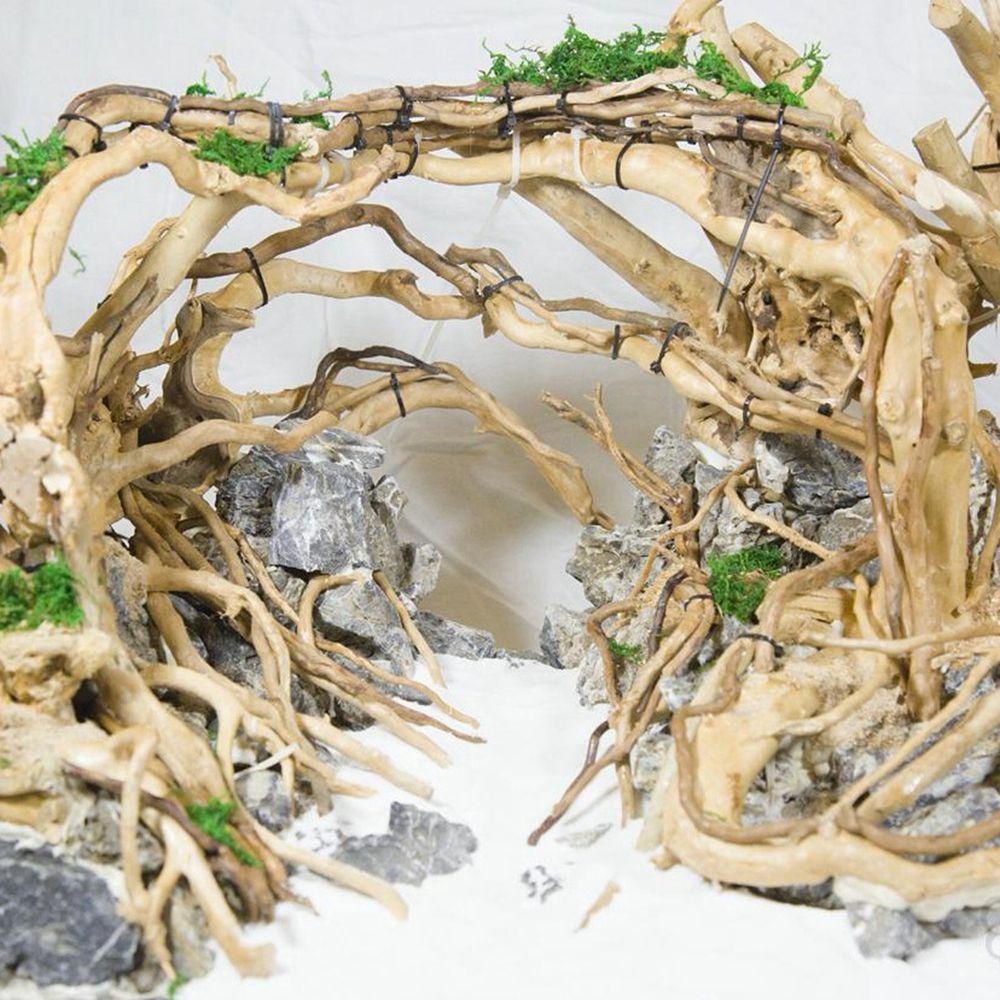 Aquarium Planted Wood - Dekorasi akuarium latar belakang tangki reptil