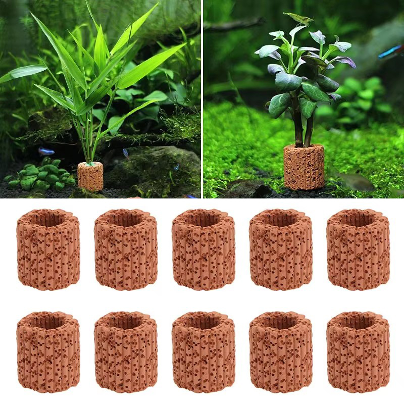 Aquarium Plant Live - Cincin Tetap Tanaman Air untuk Pemandangan