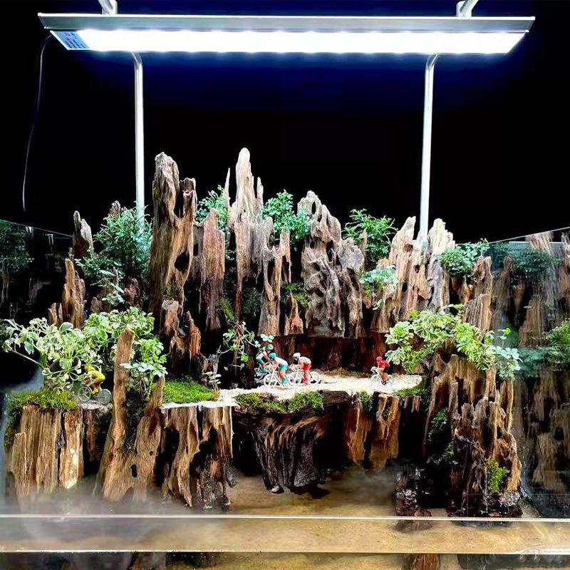 Aquarium Planted Wood - Dekorasi Akuarium Kayu Udang, Aksesoris Hiasan