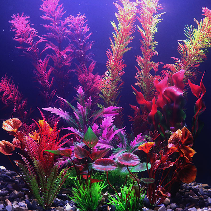 Aquarium Plant Seeds - Dekorasi Akuarium Buatan Tanaman Air Gulma