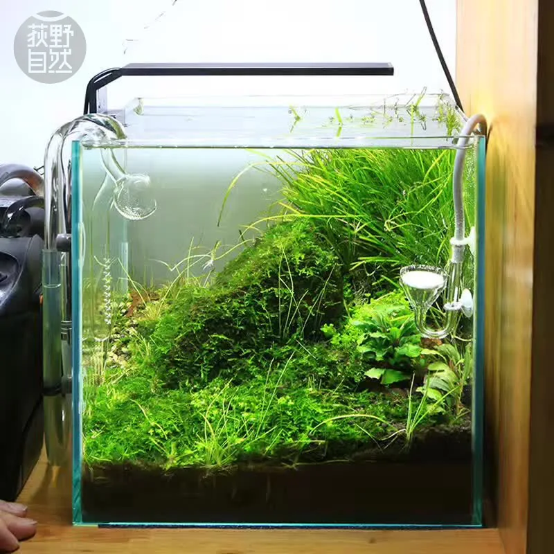 Aquarium Plant Grow Light - Chihiros C Series ADA Style Plant