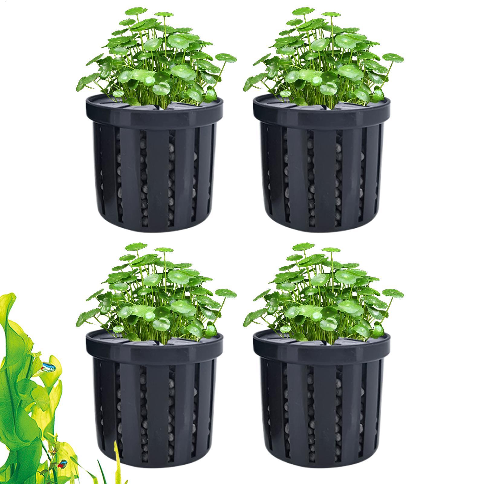 Aquarium Plant Live - 4 Buah Pot Tanam Akuarium dengan
