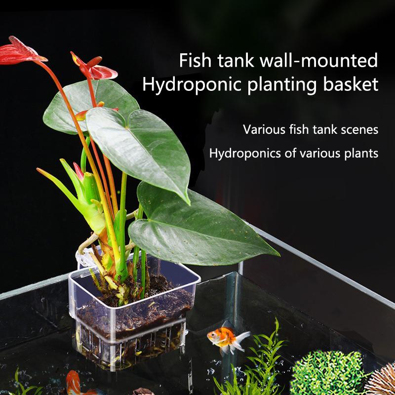 Aquarium Planted Setup - Cangkir Penanaman Hidroponik Akuarium 2 5