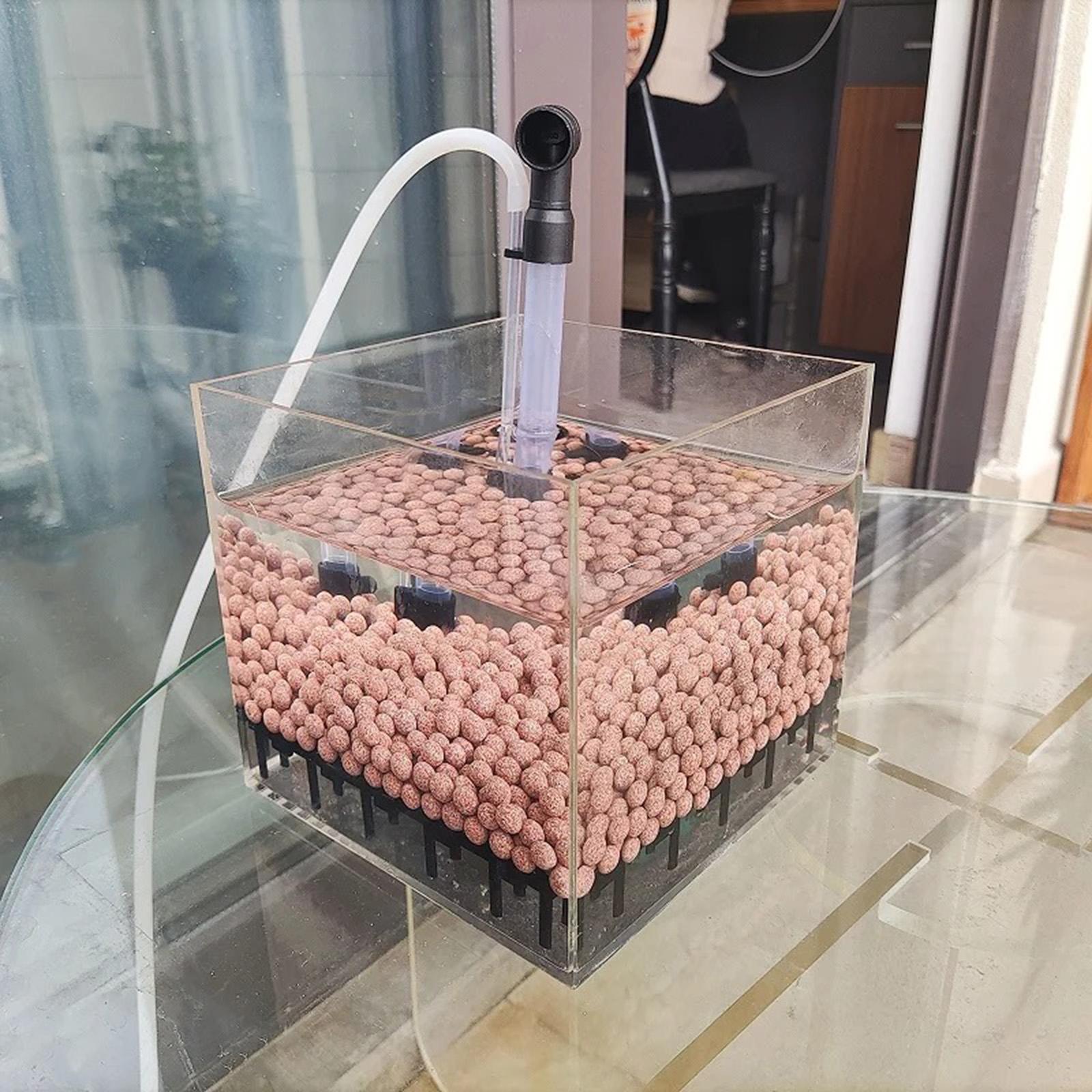 Planted Aquarium Undergravel Filter - Kotak Filter Akuarium Persegi Akrilik Transparan