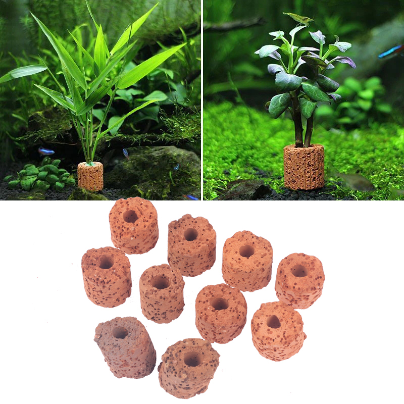 Aquarium Planted Setup - 10 Buah Cincin Tanaman Air Mini