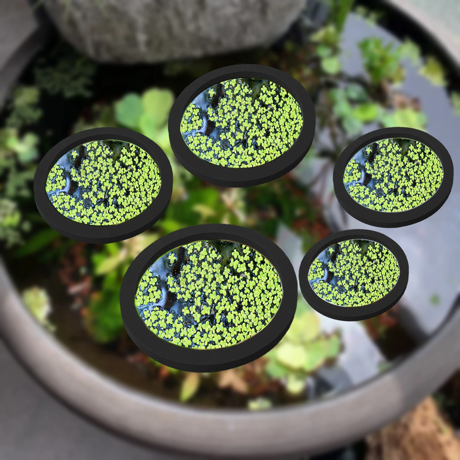 Aquarium Plant In Pot - 5 buah EVA cincin pemberi makan
