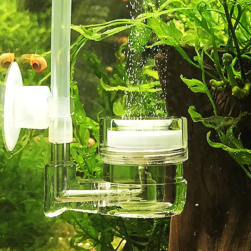Aquarium Plant Live - Reaktor Gelembung Tangki Kaca Diffuser CO2