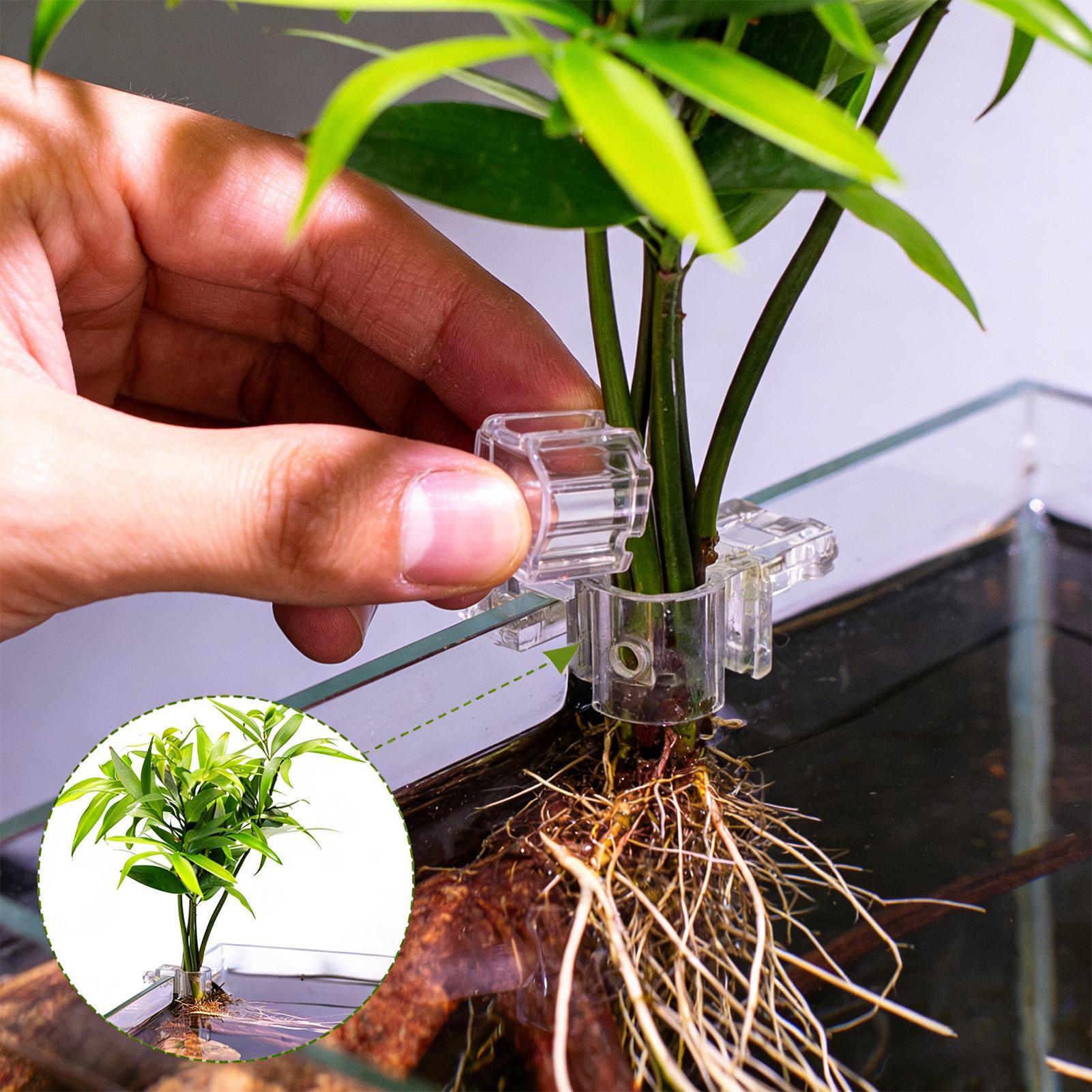 Aquarium Plant Live - 6 Buah Tempat Tanaman Akuarium, Braket