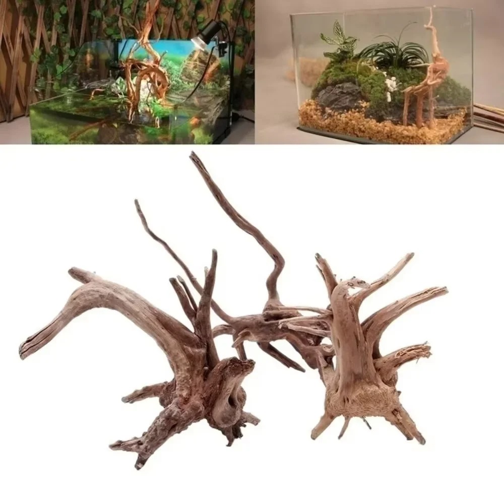 Aquarium Planted Wood - Dekorasi Akuarium Kayu Apung Alami 15-20CM