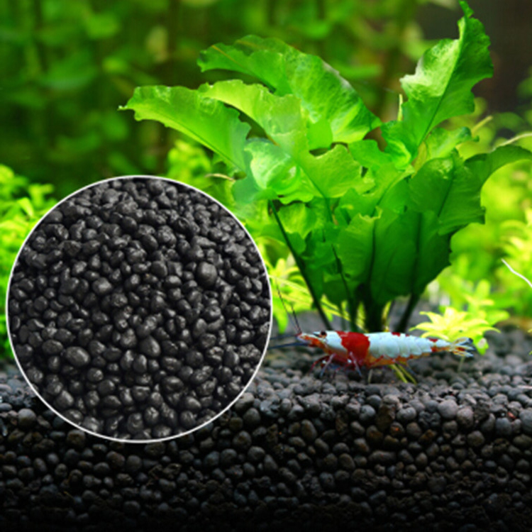 Aquarium Plant Seeds - Bibit Tanaman Akuarium Tanah Tangki Ikan