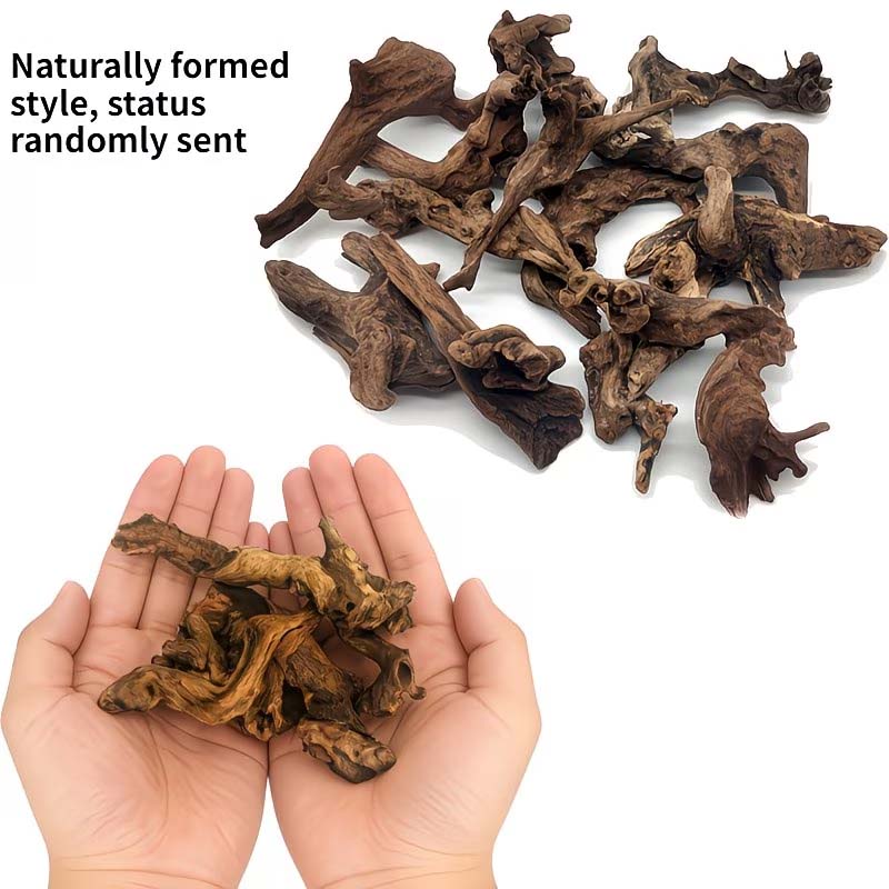 Aquarium Planted Wood - Kayu Apung Alami 5-10CM untuk Dekorasi