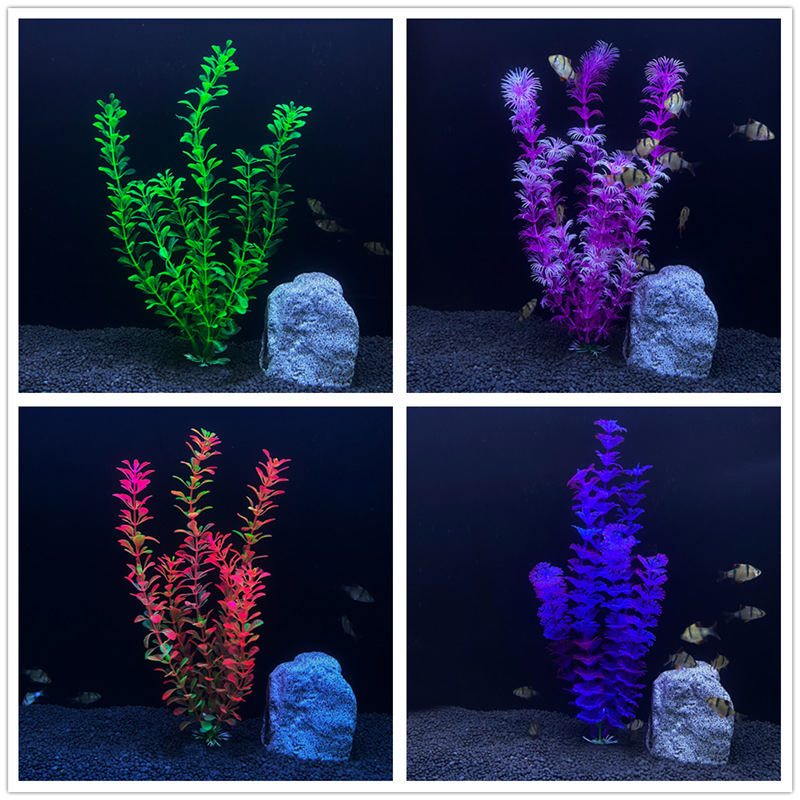 Aquarium Plant Seeds - Tanaman air Simulasi akuarium, dekorasi lanskap