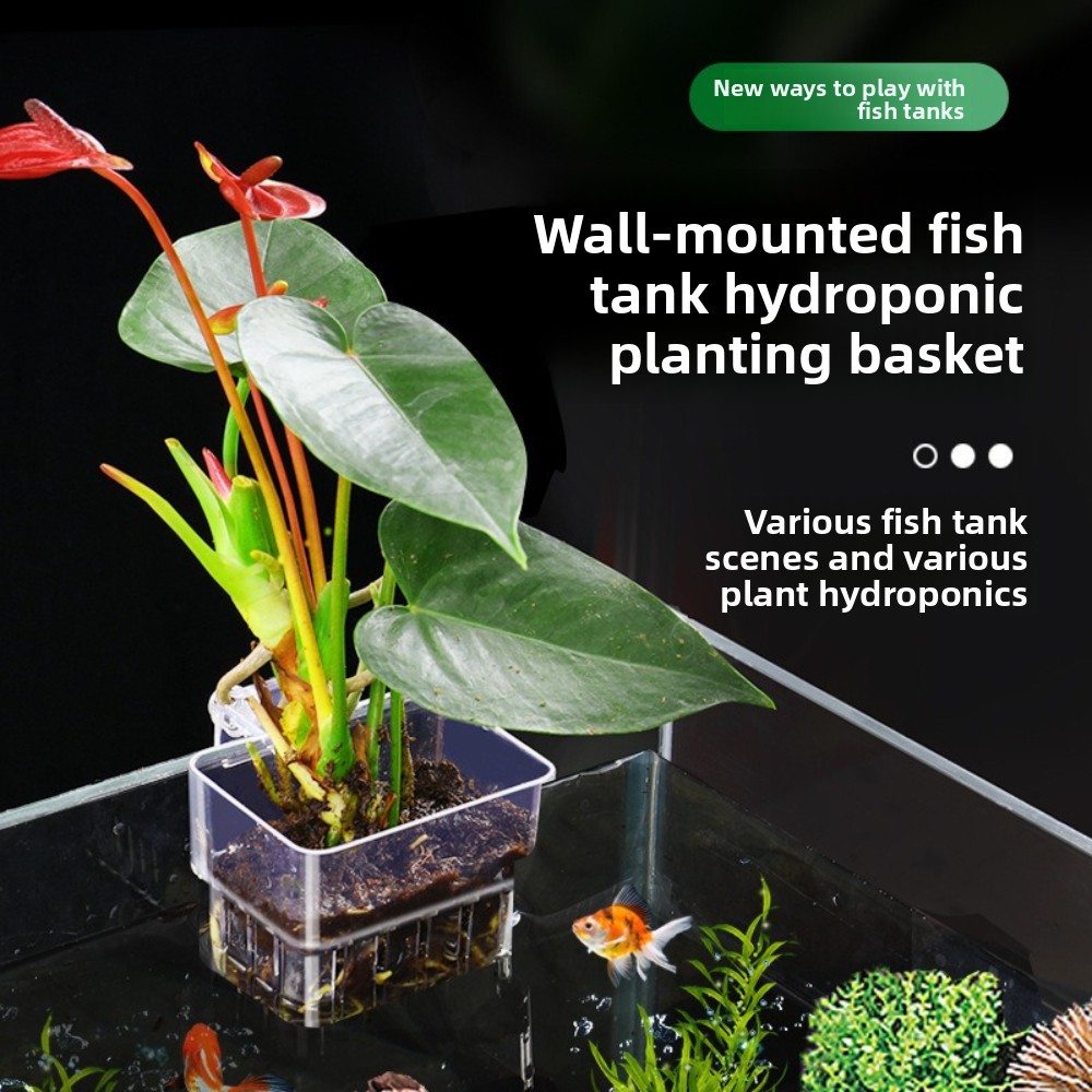 Aquarium Plant Grass - Keranjang Tanam Hidroponik Akuarium, Gelembung Udara