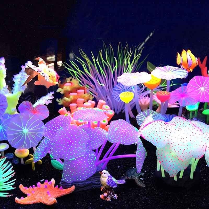 Silikon Bercahaya untuk Lanska - Aquarium Plant Live ulasan dan harga