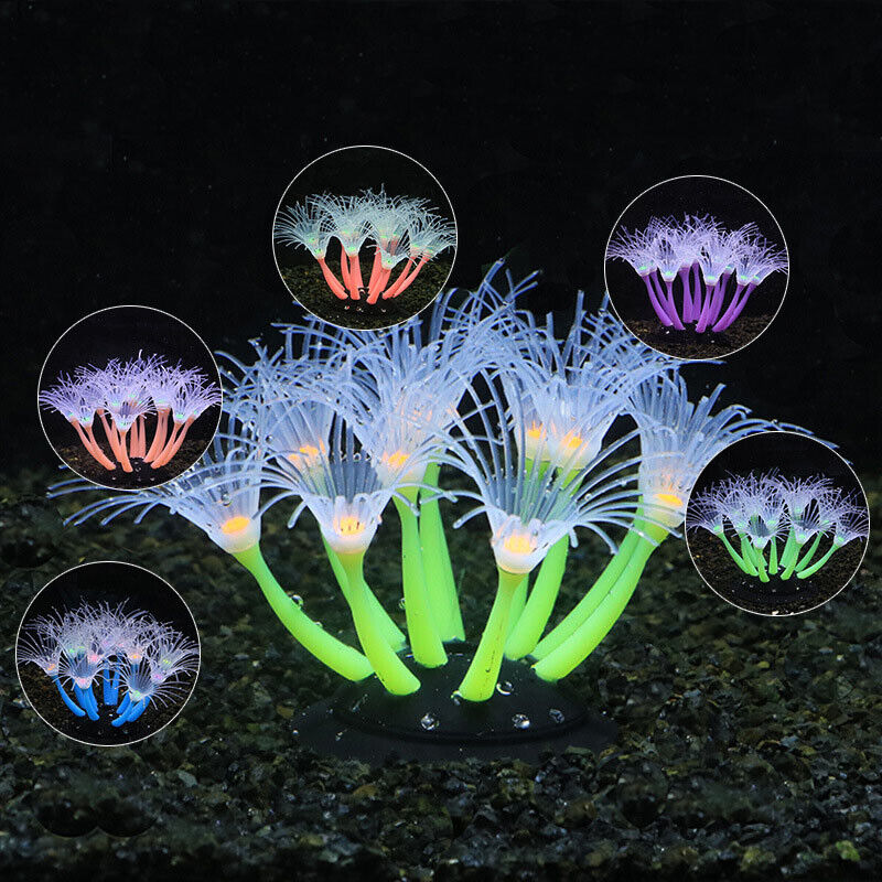 Silikon Bercahaya untuk Lanska - Aquarium Plant Live ulasan dan harga