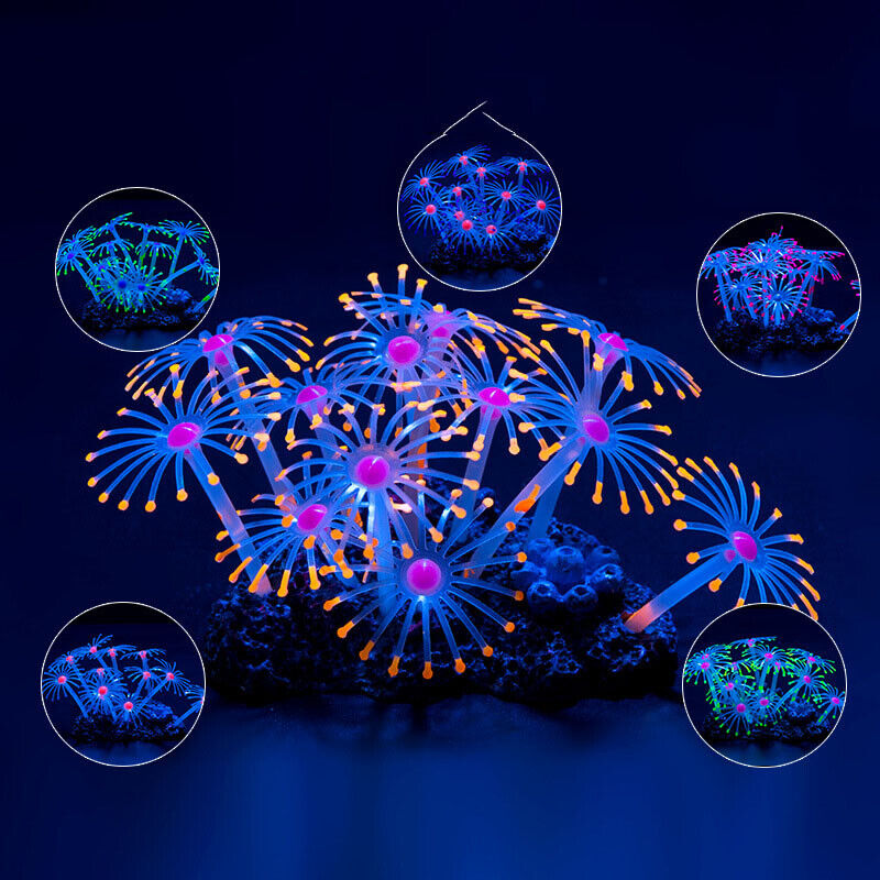 Silikon Bercahaya untuk Lanska - Aquarium Plant Live ulasan dan harga