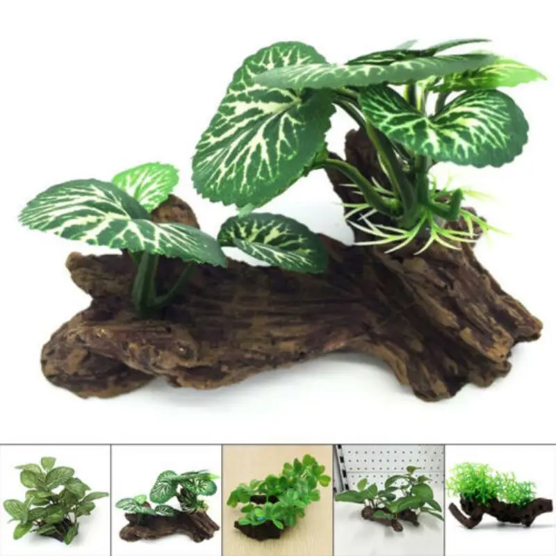 Plastik Buatan Pohon Penyu Bat - Aquarium Planted Wood ulasan dan harga