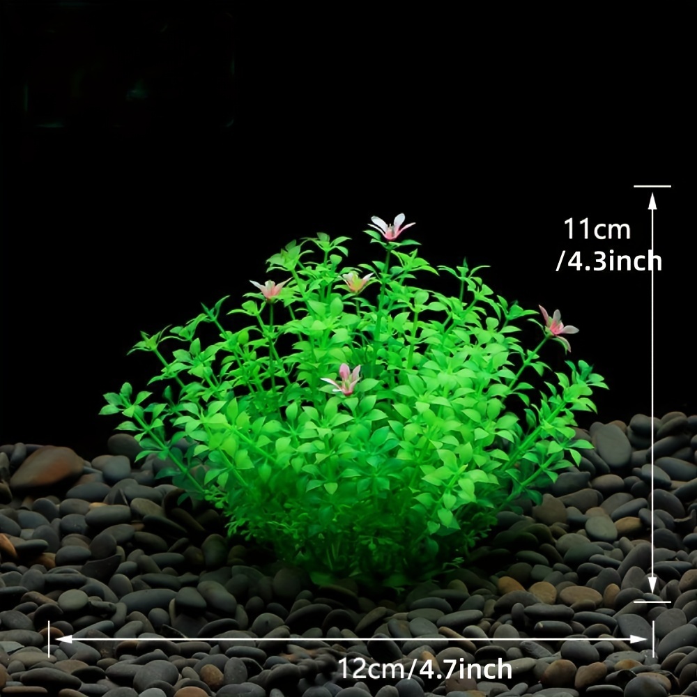 Dekorasi Tangki Ikan Akuarium  - Aquarium Plant Seeds ulasan dan harga