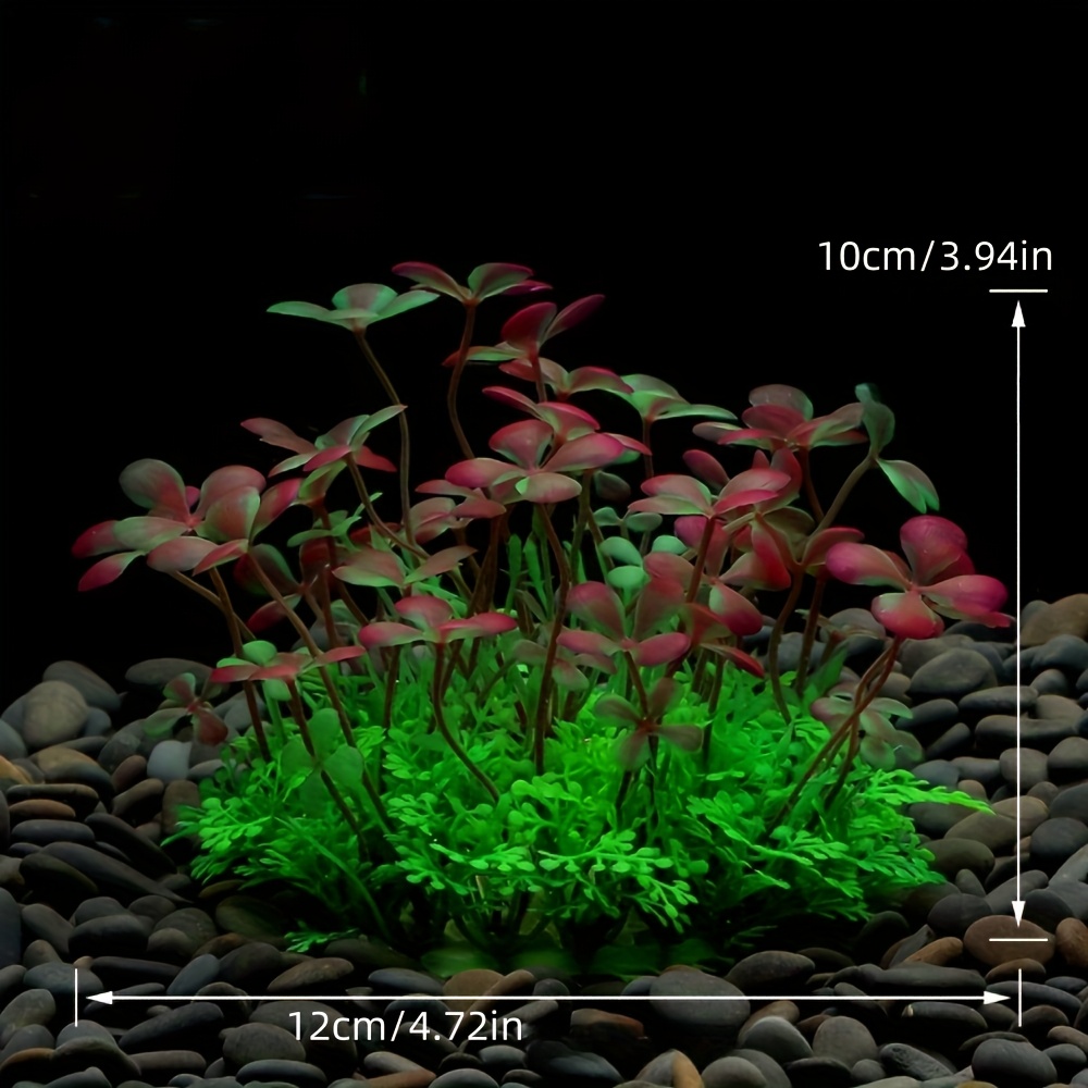Dekorasi Tangki Ikan Akuarium  - Aquarium Plant Seeds ulasan dan harga