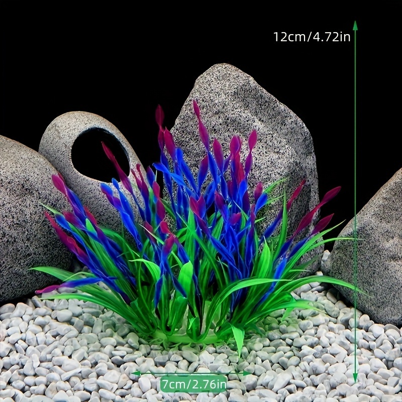 Dekorasi Tangki Ikan Akuarium  - Aquarium Plant Seeds ulasan dan harga