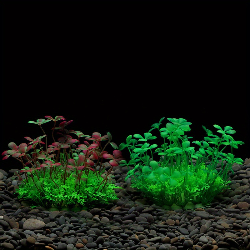 Dekorasi Tangki Ikan Akuarium  - Aquarium Plant Seeds ulasan dan harga
