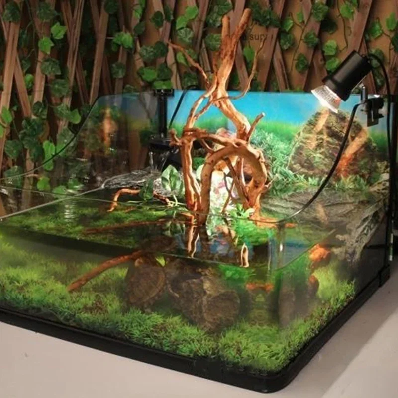 Pohon alami kayu apung akuariu - Aquarium Planted Wood ulasan dan harga