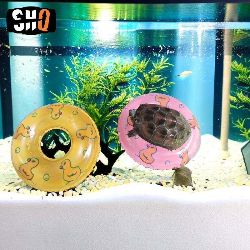 Musim panas kura-kura bermain  - Aquarium Plant Live ulasan dan harga