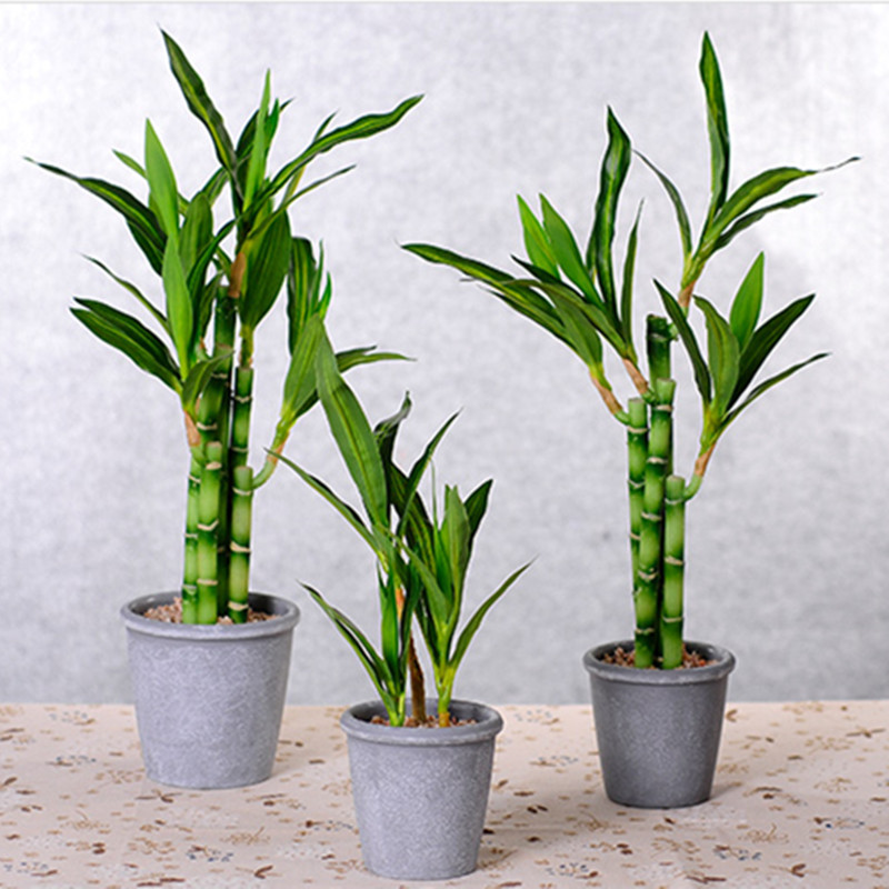 Baru 40Cm RFtificial Bambu Ber - Aquarium Plant In Pot ulasan dan harga