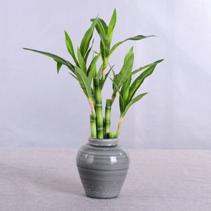 Baru 40Cm RFtificial Bambu Ber - Aquarium Plant In Pot ulasan dan harga