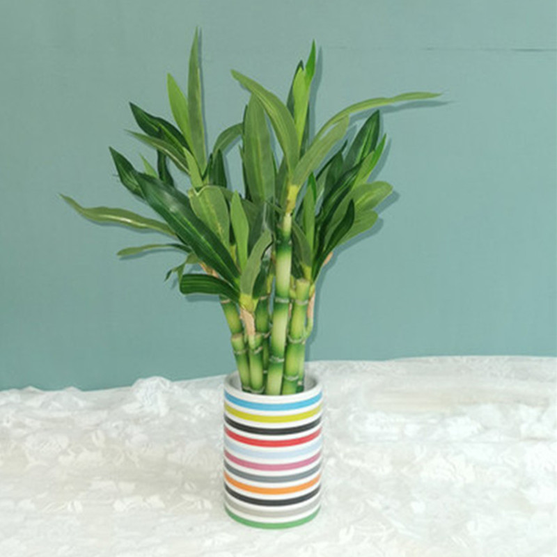 Baru 40Cm RFtificial Bambu Ber - Aquarium Plant In Pot ulasan dan harga