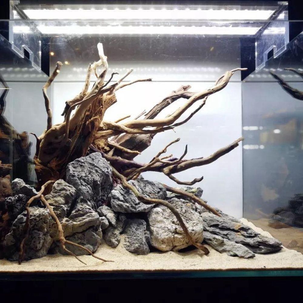 Dekorasi akuarium latar belaka - Aquarium Planted Wood ulasan dan harga