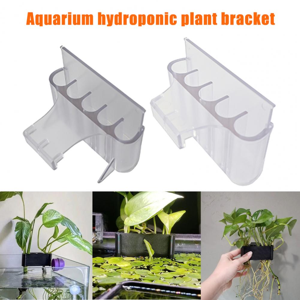 4.5/6.5Cm Tempat Tanaman Akuar - Aquarium Plant In Pot ulasan dan harga