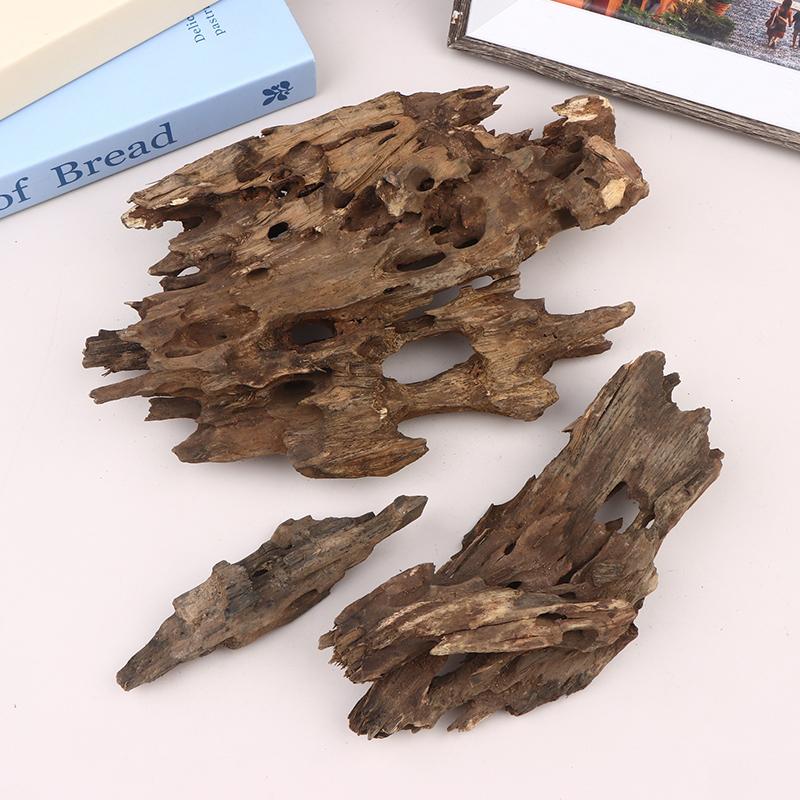 Dekorasi Akuarium Kayu Udang,  - Aquarium Planted Wood ulasan dan harga