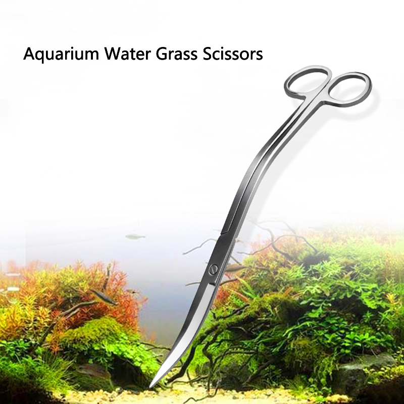 Alat Pemangkasan Tanaman Akuar - Aquarium Plant Grass ulasan dan harga