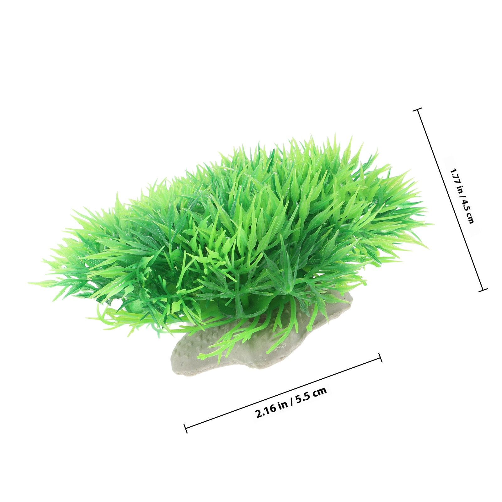 6 Buah Tanaman Akuarium Sepert - Aquarium Planted Setup ulasan dan harga
