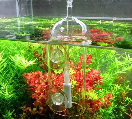 VIV Do perangkat akuarium kaca - Aquarium Plant Live ulasan dan harga