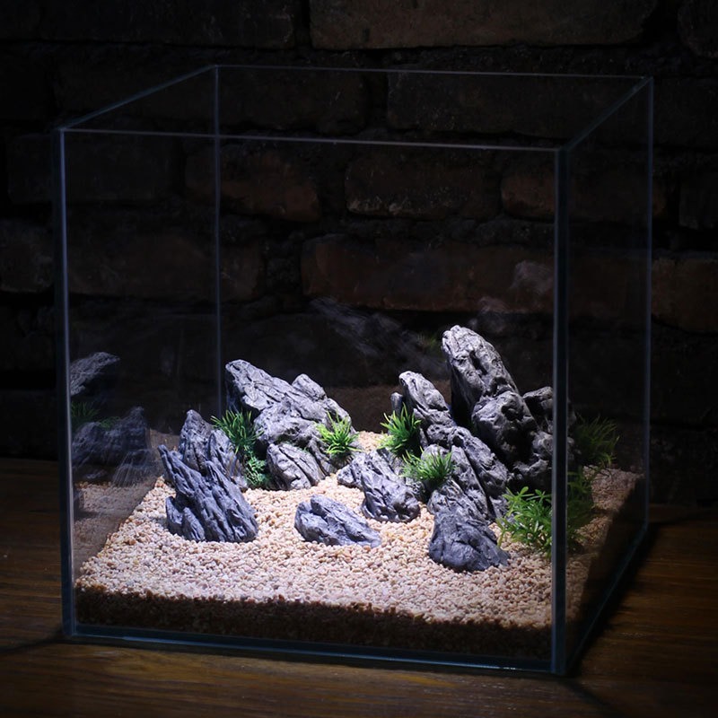 Dekorasi Akuarium Simulasi Bat - Aquarium Planted Setup ulasan dan harga