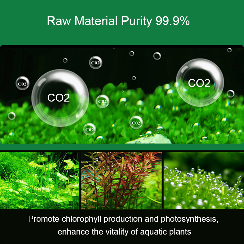 Generator CO2 Akuarium Reaktor - Planted Aquarium Cleaning Kit ulasan dan harga