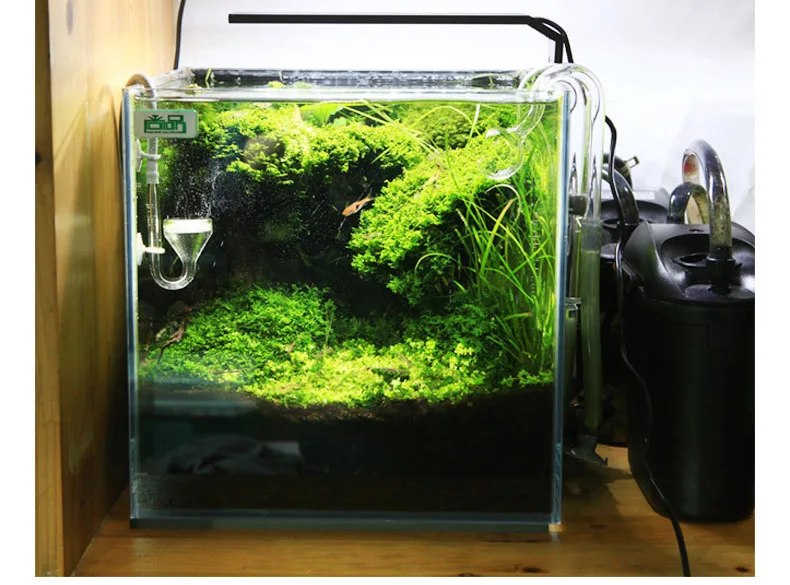 Chihiros C Series ADA Style Pl - Aquarium Plant Grow Light ulasan dan harga