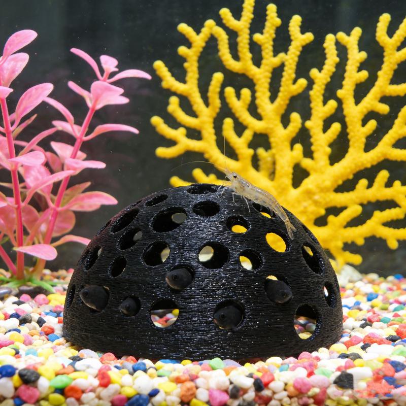 Akuarium Gua Tersembunyi untuk - Aquarium Plant Seeds ulasan dan harga