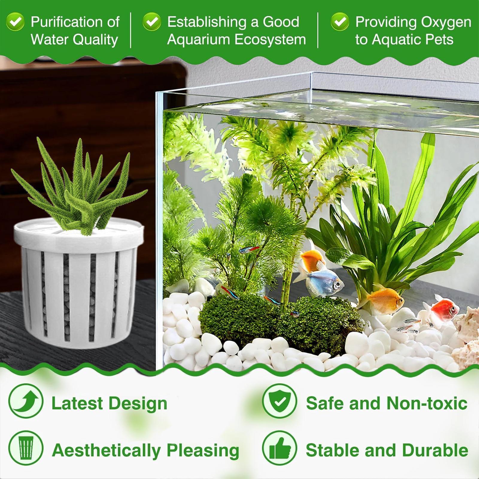 4 Buah Pot Tanam Akuarium deng - Aquarium Plant Live ulasan dan harga