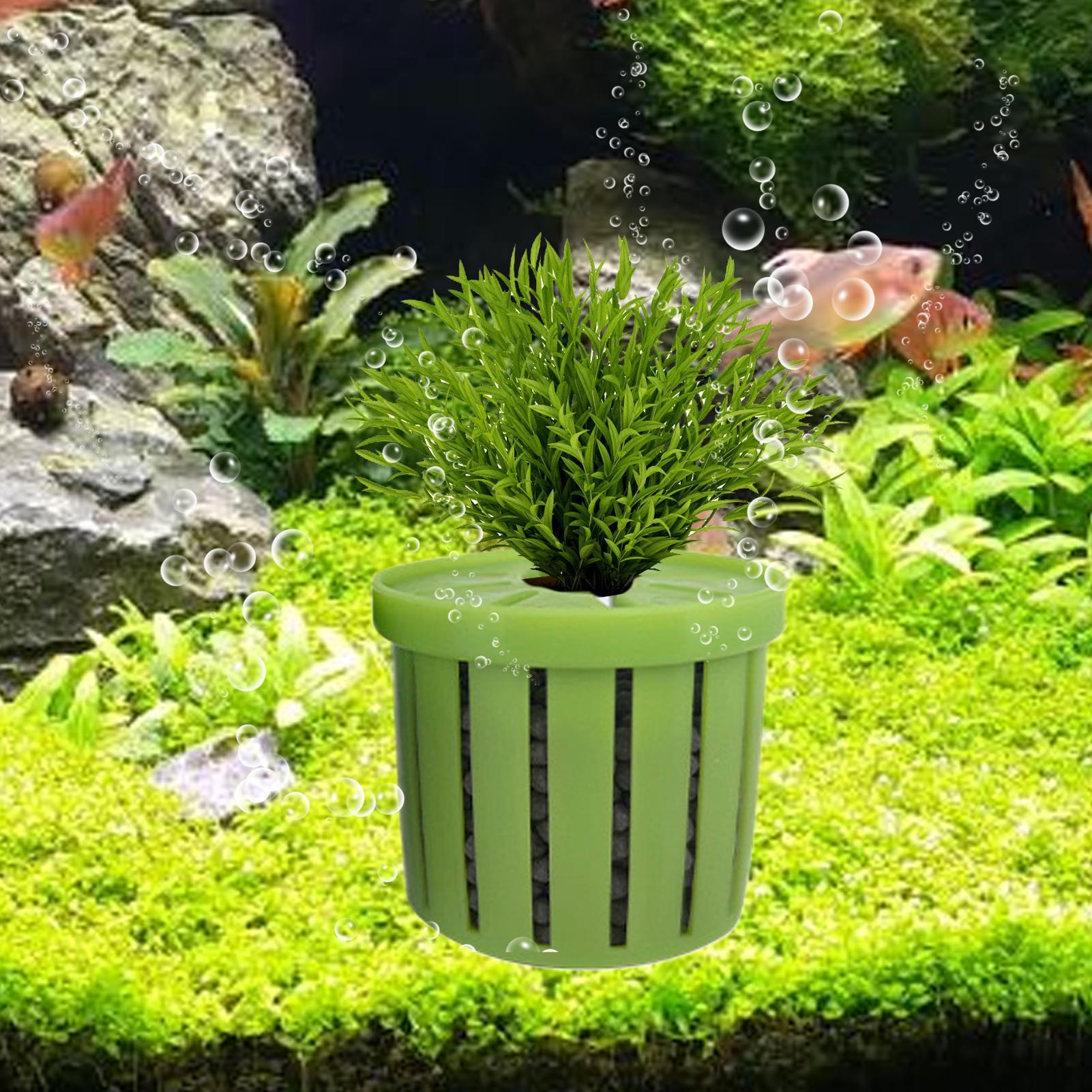 4 Buah Pot Tanam Akuarium deng - Aquarium Plant Live ulasan dan harga