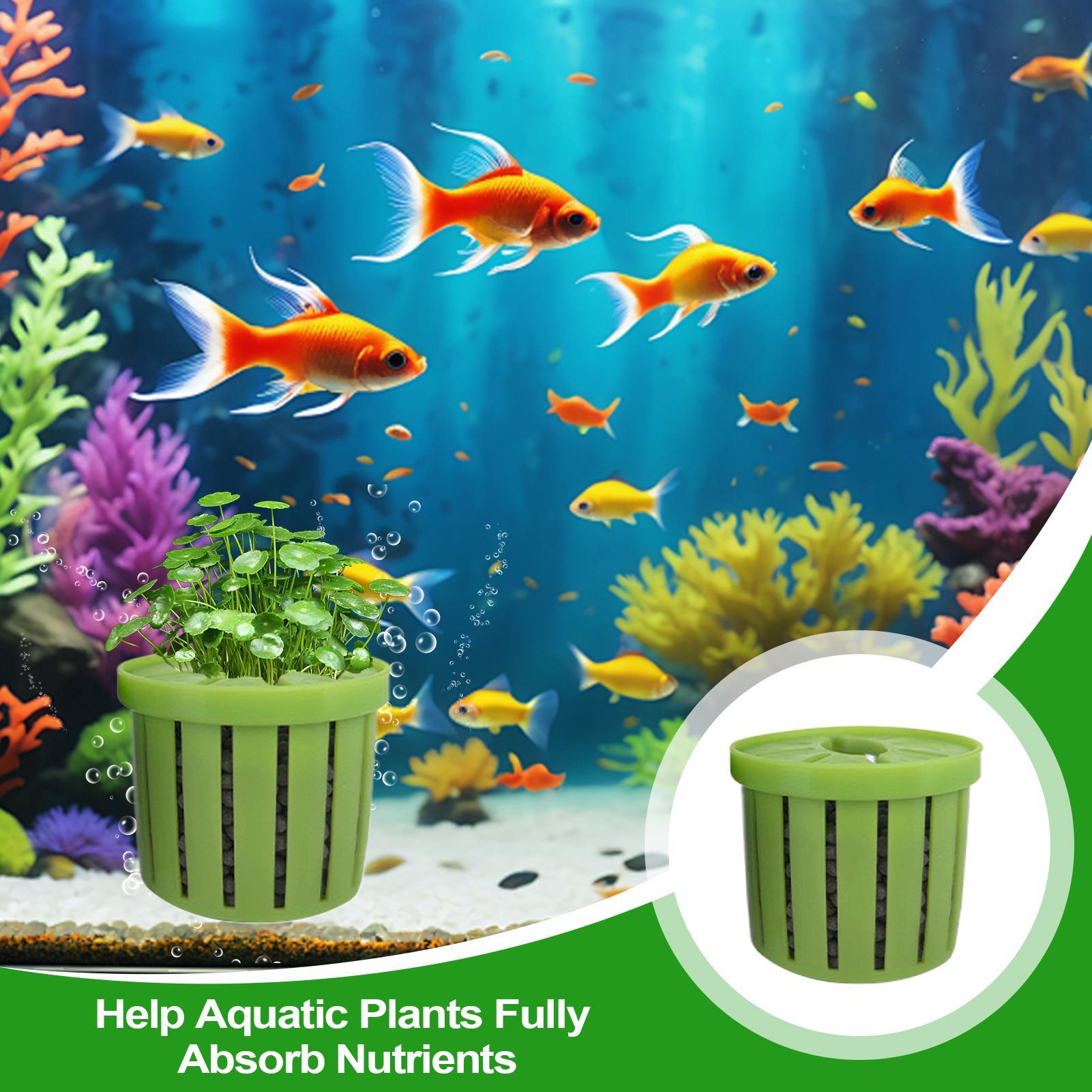 4 Buah Pot Tanam Akuarium deng - Aquarium Plant Live ulasan dan harga