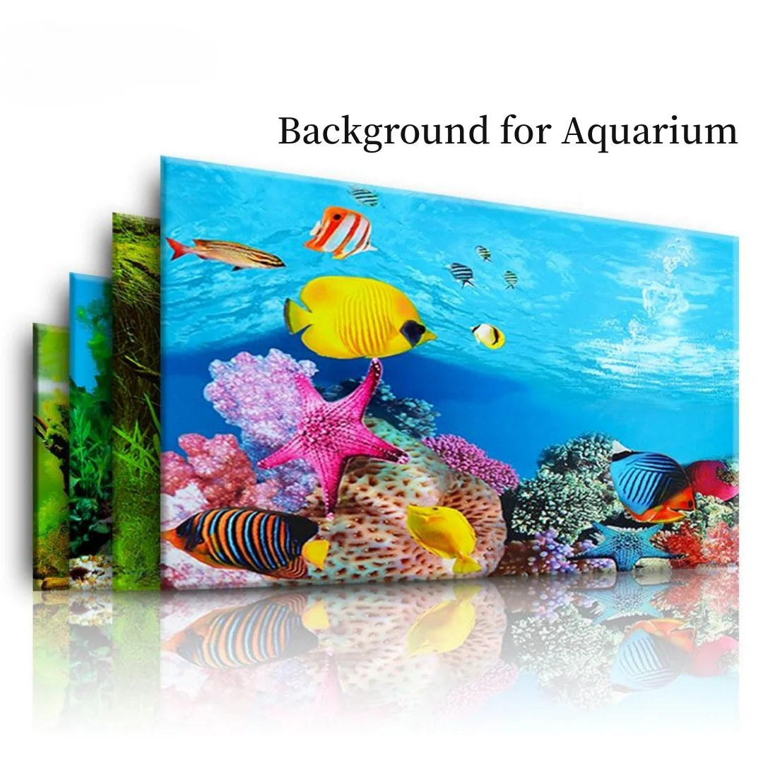 Latar belakang akuarium 3D sti - Aquarium Plant Seeds ulasan dan harga