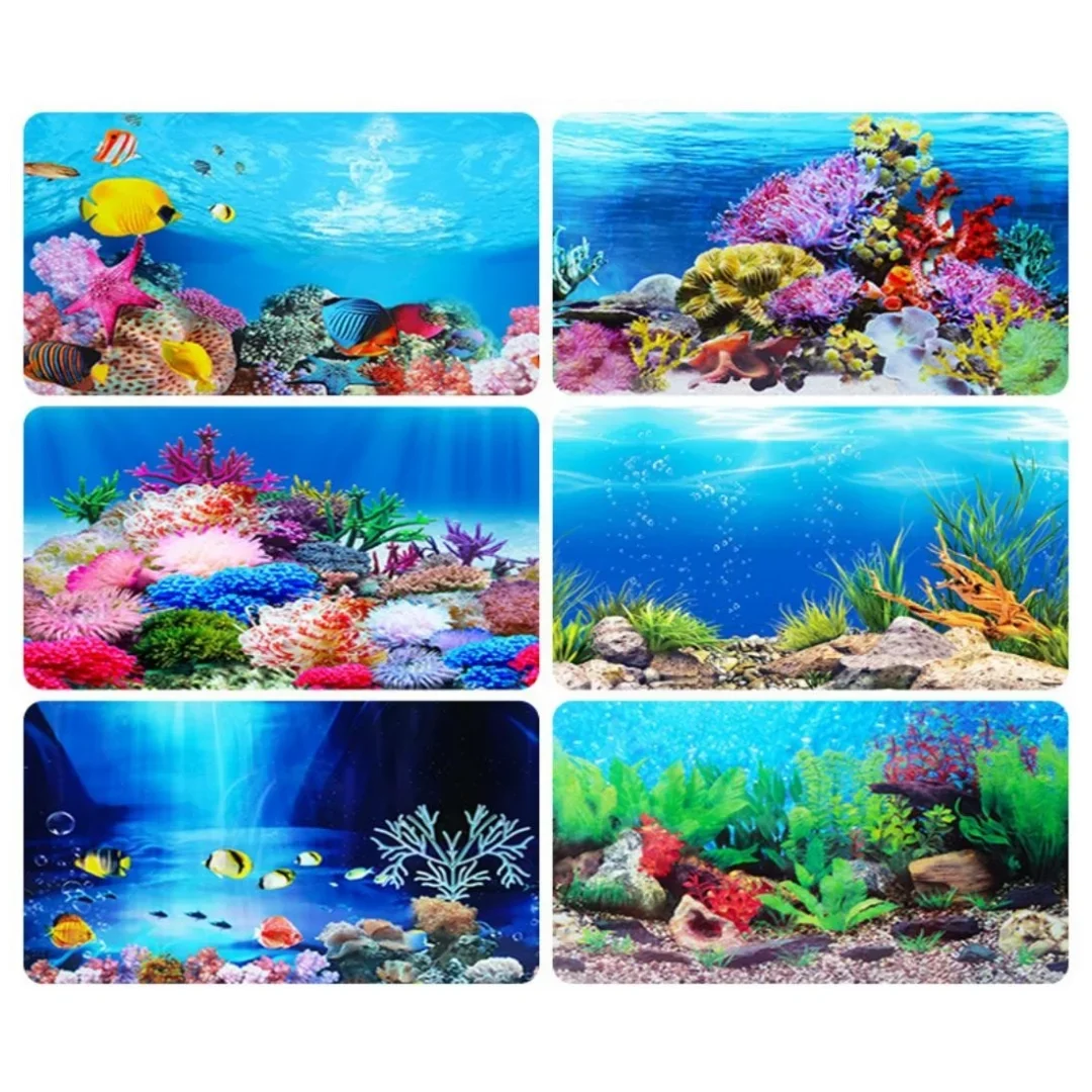 Latar belakang akuarium 3D sti - Aquarium Plant Seeds ulasan dan harga