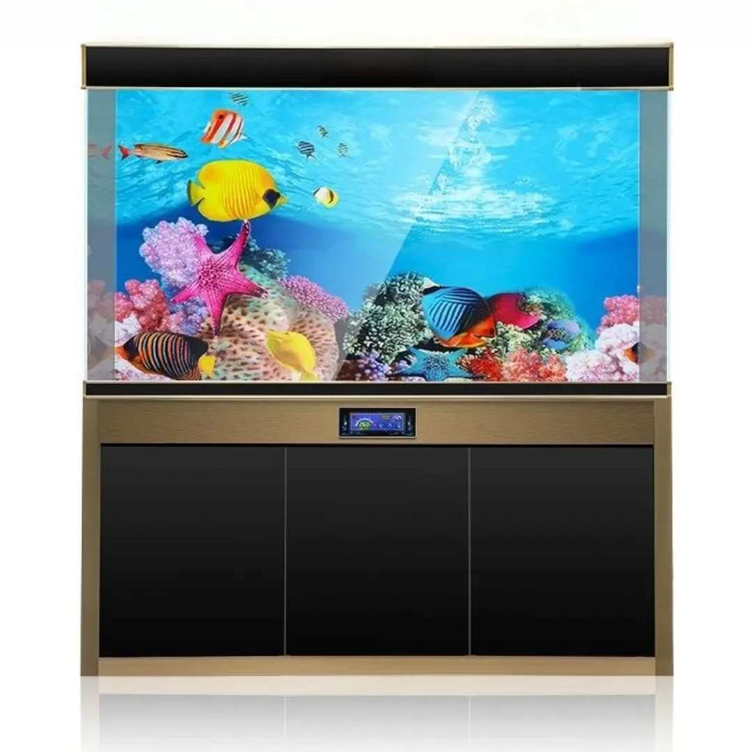 Latar belakang akuarium 3D sti - Aquarium Plant Seeds ulasan dan harga