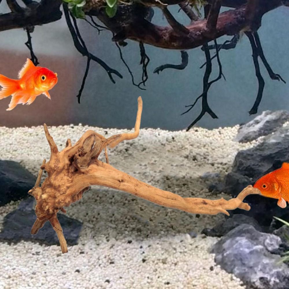 Pohon alami dekorasi akuarium  - Aquarium Planted Wood ulasan dan harga