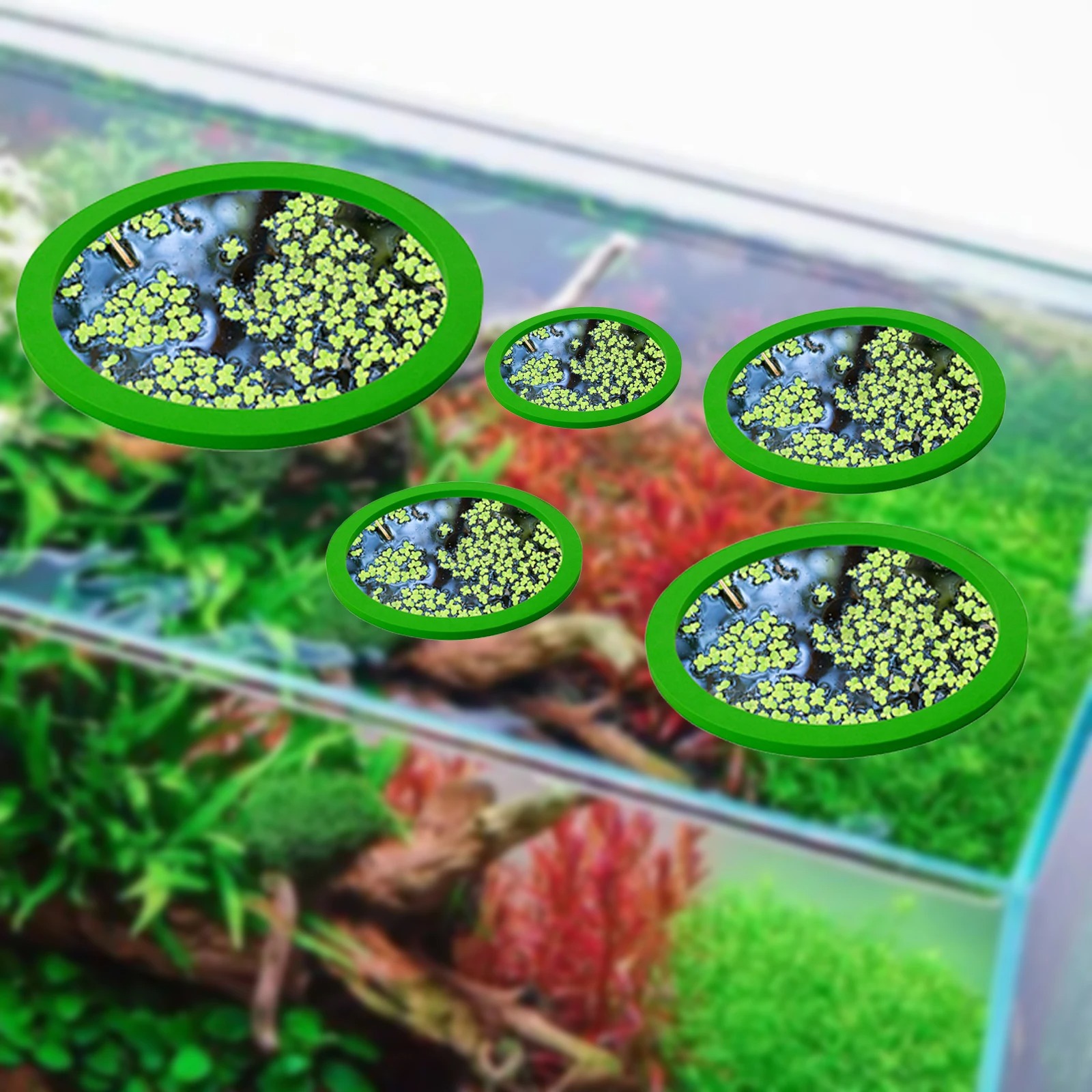 5 buah EVA cincin pemberi maka - Aquarium Plant In Pot ulasan dan harga
