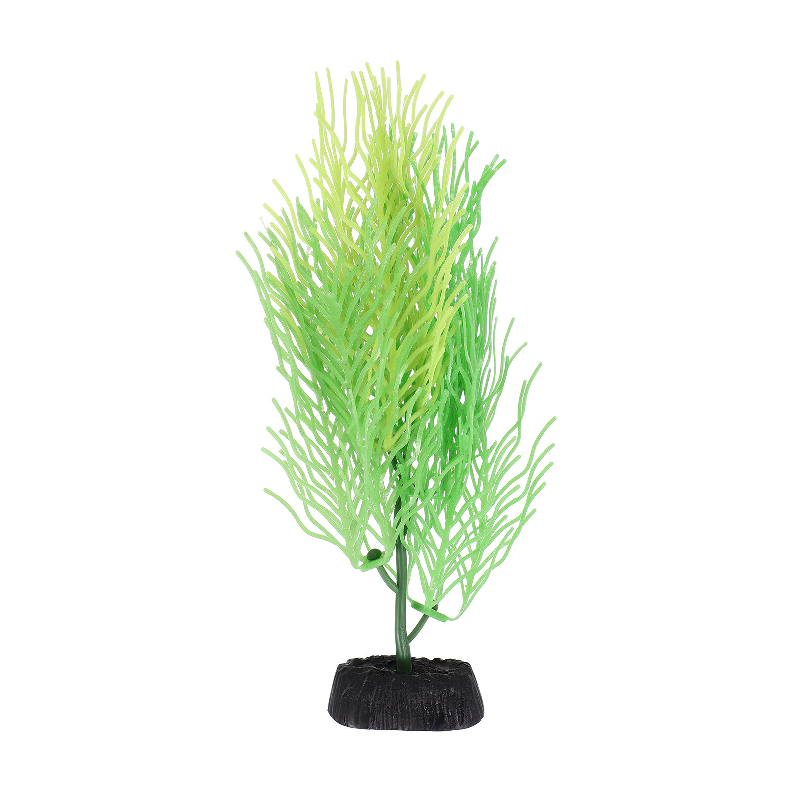 Dekorasi Tanaman Akuarium Horn - Aquarium Planted Setup ulasan dan harga